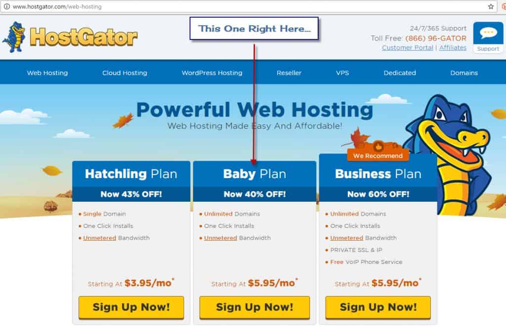 Get Hosting With The Hostgator Baby Plan